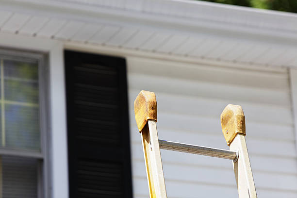 Best Storm Damage Siding Repair  in Zephyrhills, FL